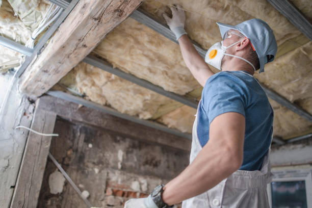 Best DIY Insulation Kits and Guidance in Ranchettes, WY