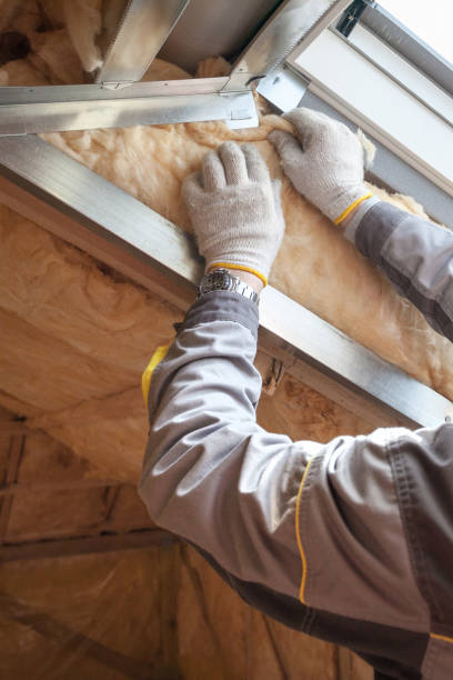 Best Insulation Maintenance and Repair in Ranchettes, WY